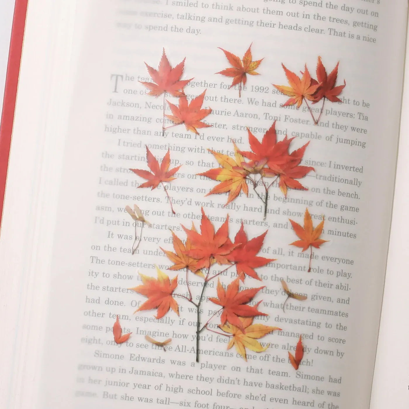 Palmate Maple Pressed Flower Sticker Sheet