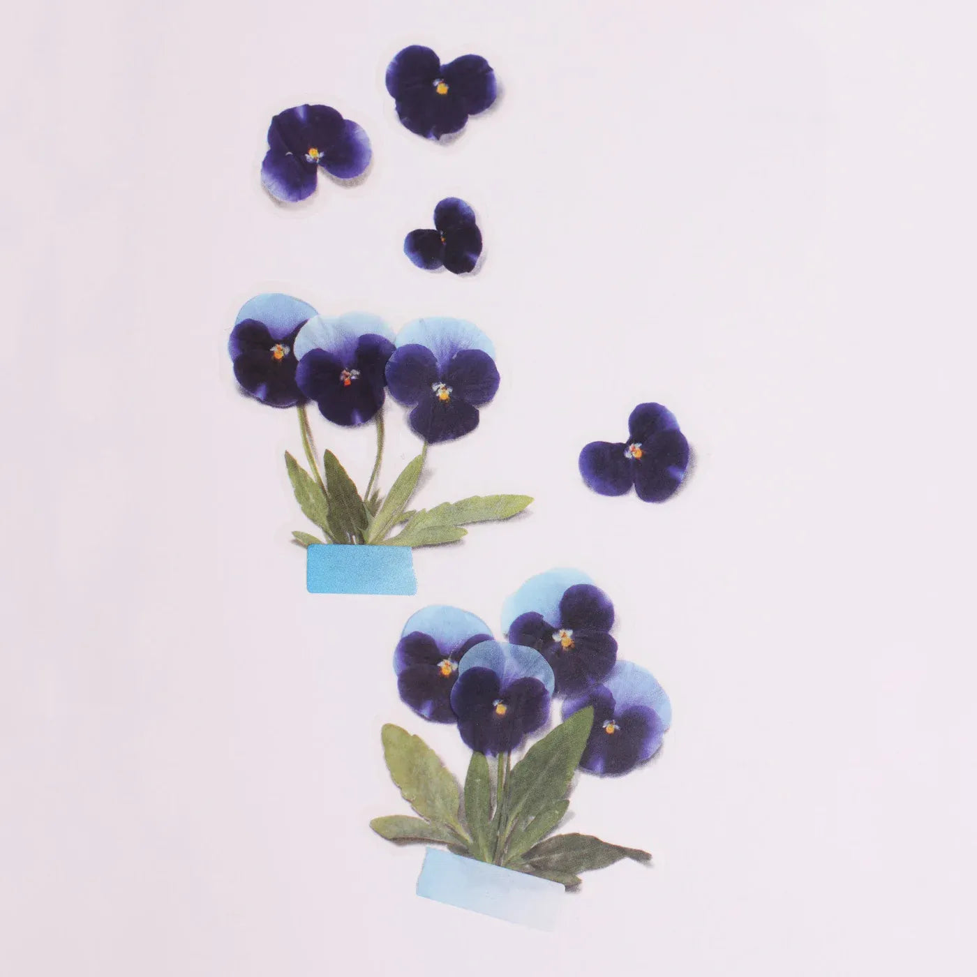 Pansy Pressed Flower Sticker Sheet