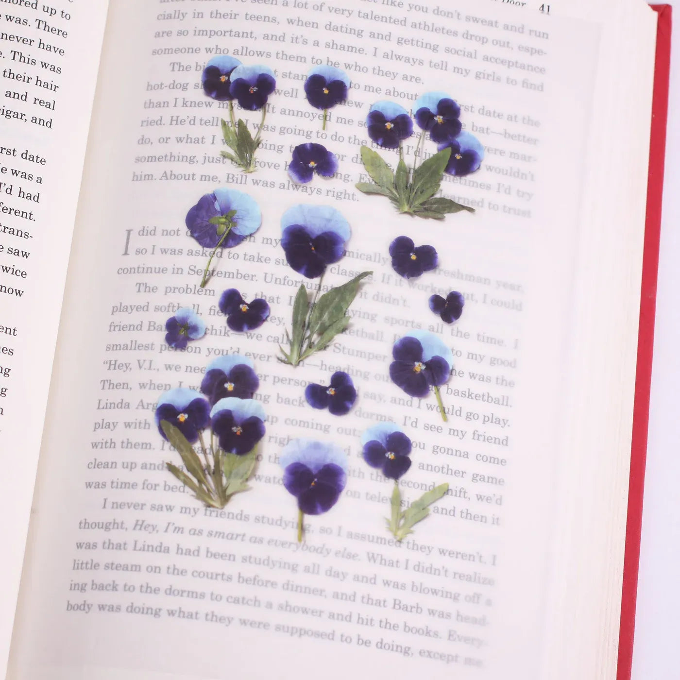 Pansy Pressed Flower Sticker Sheet