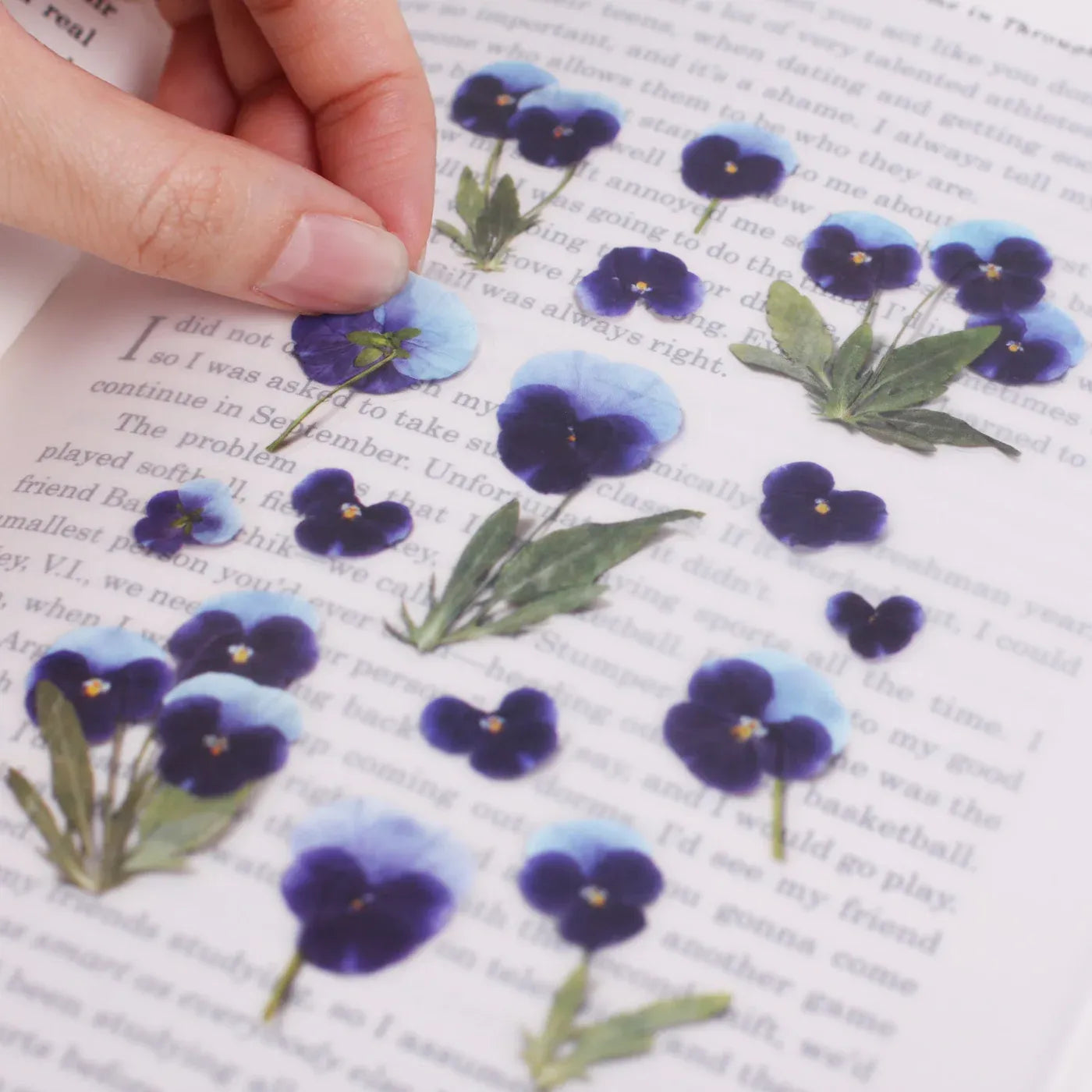 Pansy Pressed Flower Sticker Sheet