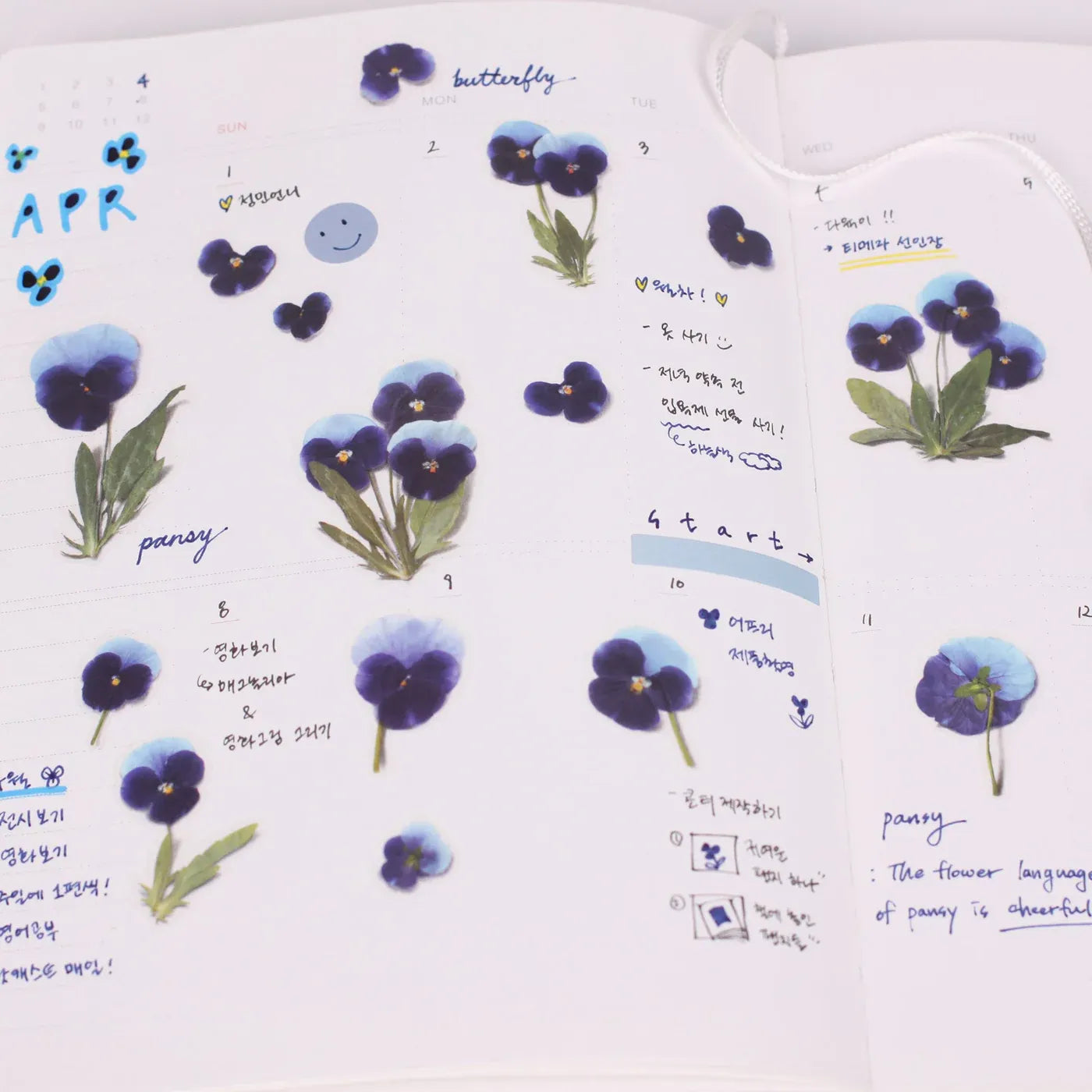 Pansy Pressed Flower Sticker Sheet