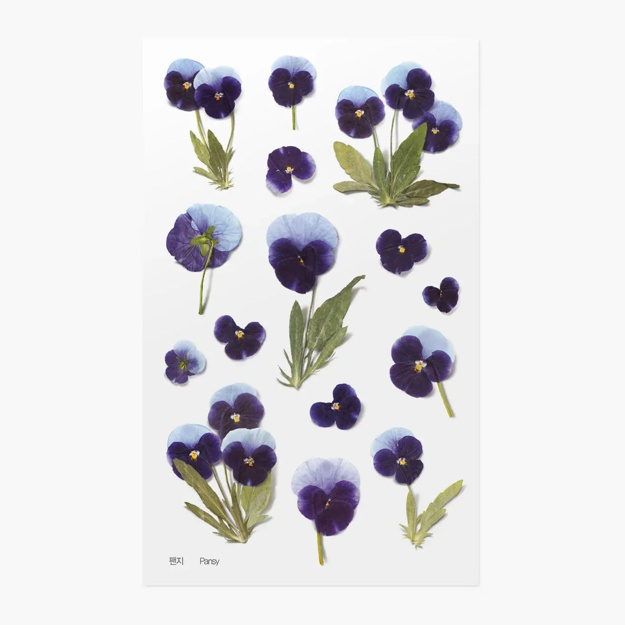 Pansy Pressed Flower Sticker Sheet
