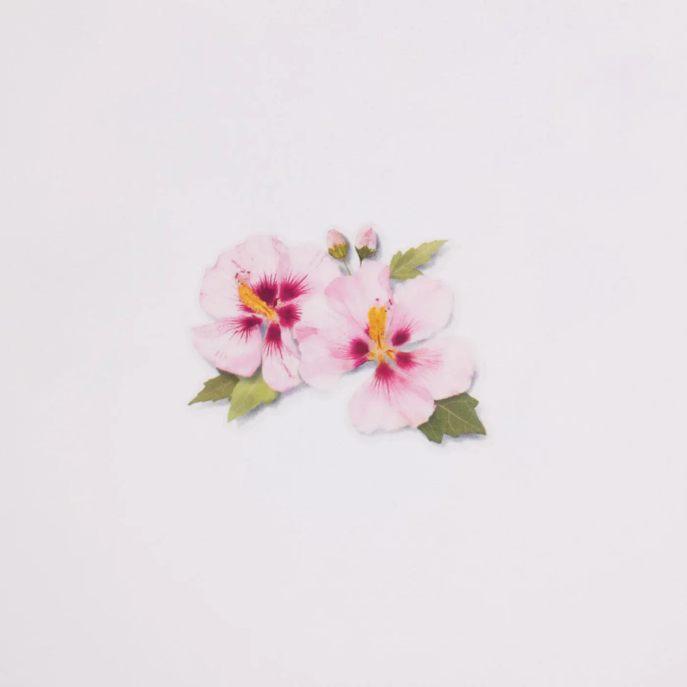 Rose of Sharon Pressed Flower Sticker Sheet