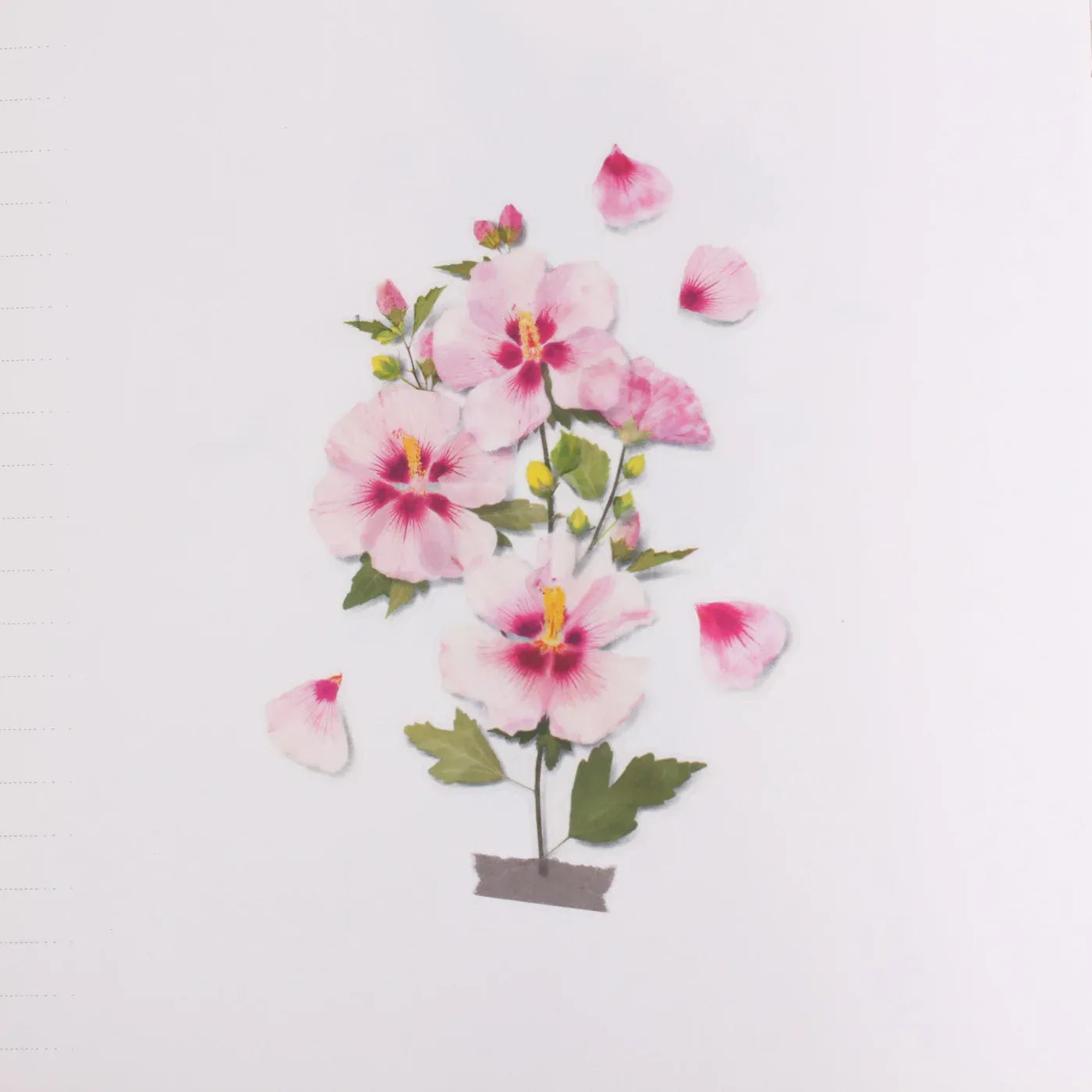Rose of Sharon Pressed Flower Sticker Sheet