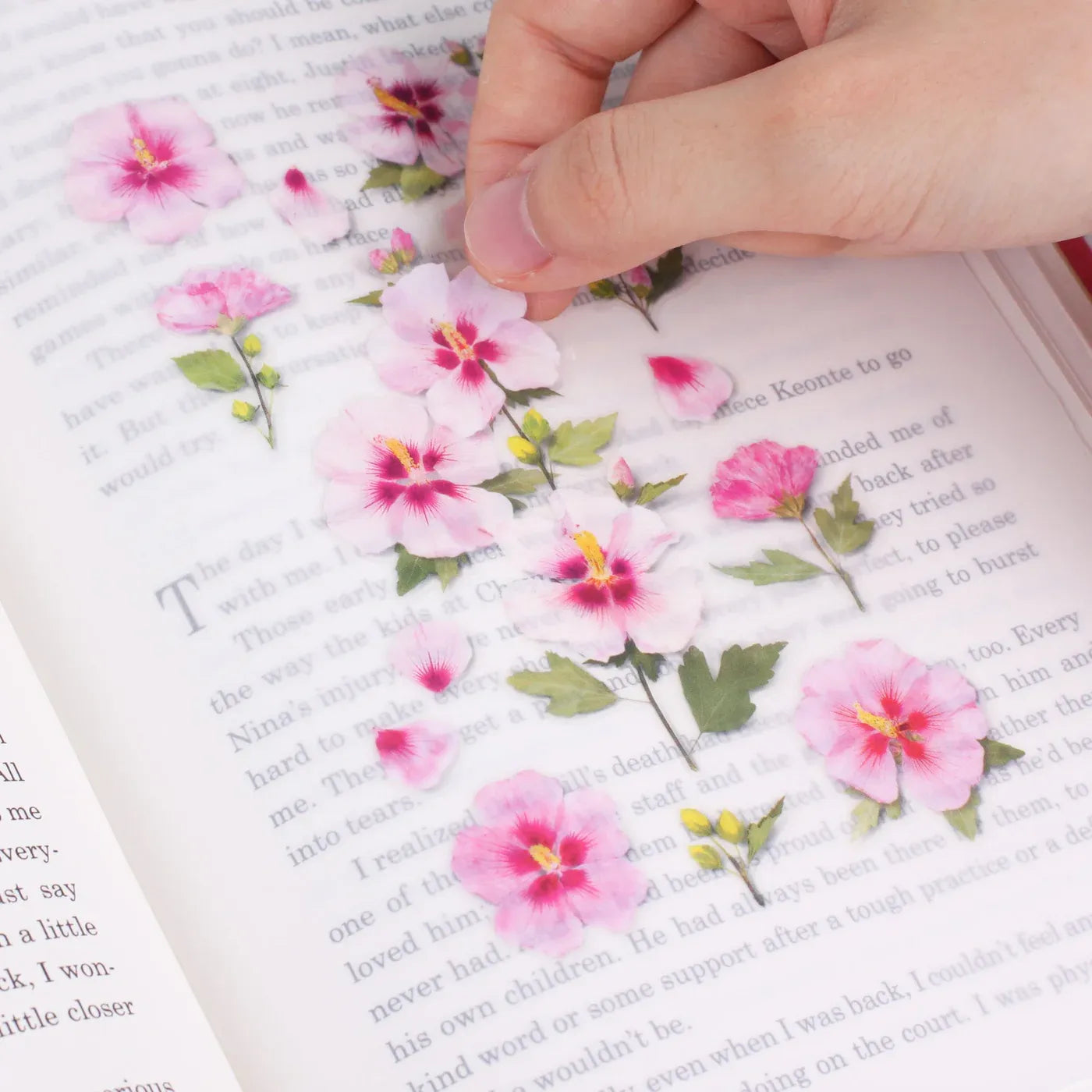 Rose of Sharon Pressed Flower Sticker Sheet