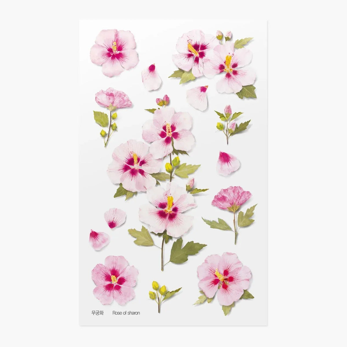Rose of Sharon Pressed Flower Sticker Sheet