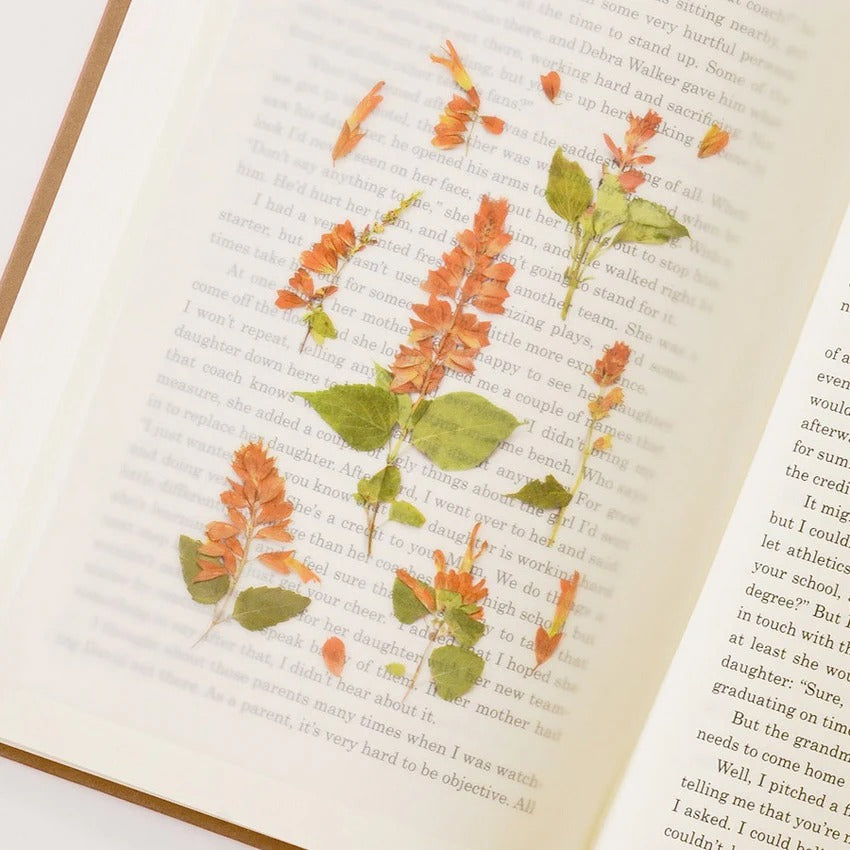 Salvia Pressed Flower Sticker Sheet