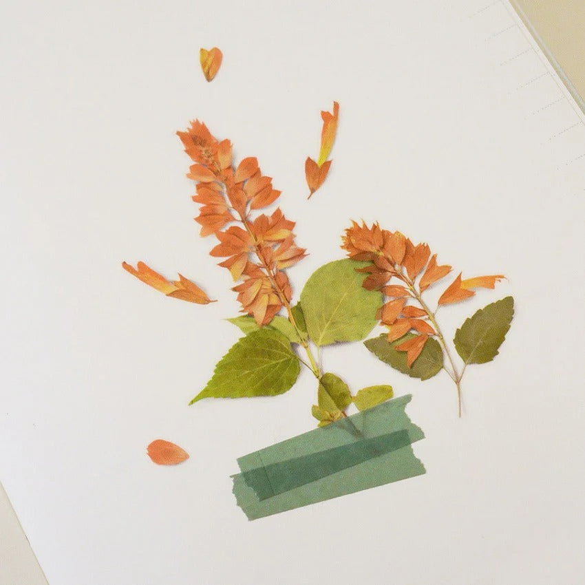 Salvia Pressed Flower Sticker Sheet