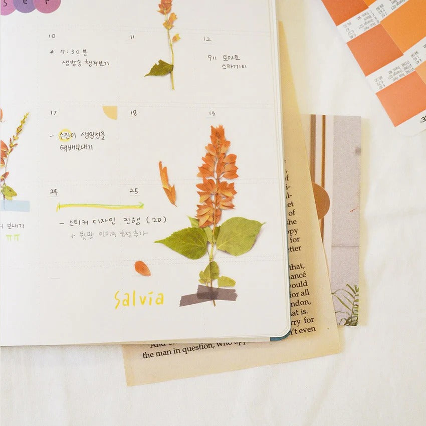 Salvia Pressed Flower Sticker Sheet