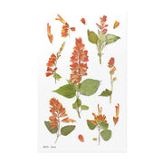 Salvia Pressed Flower Sticker Sheet