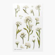 Sweet Alyssum Pressed Flower Sticker Sheet