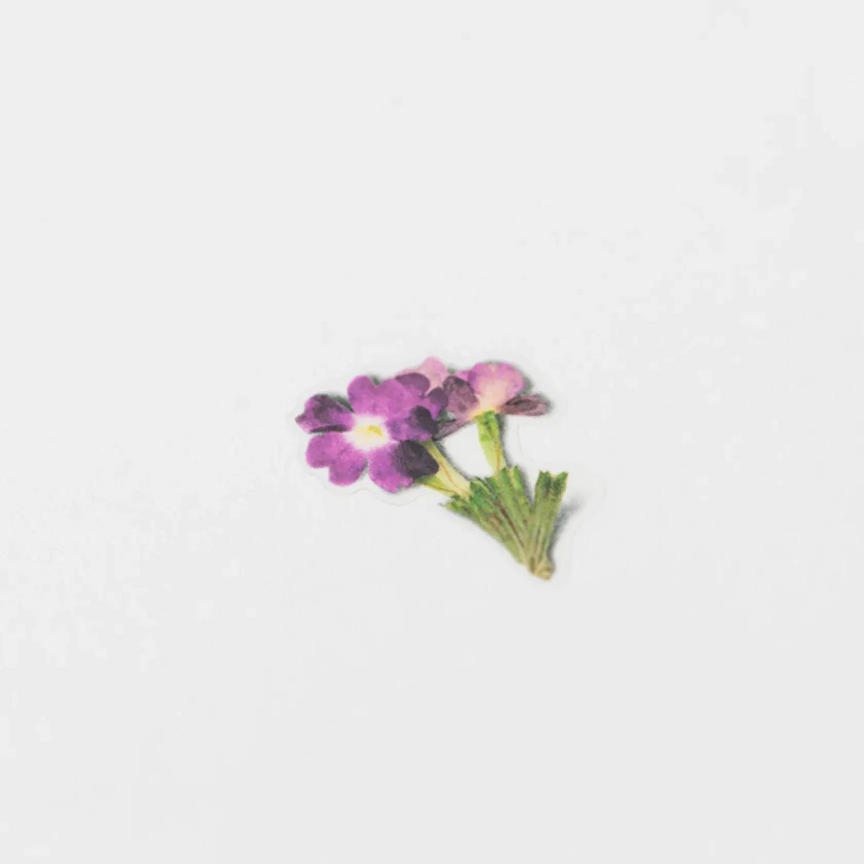 Verbena Pressed Flower Sticker Sheet