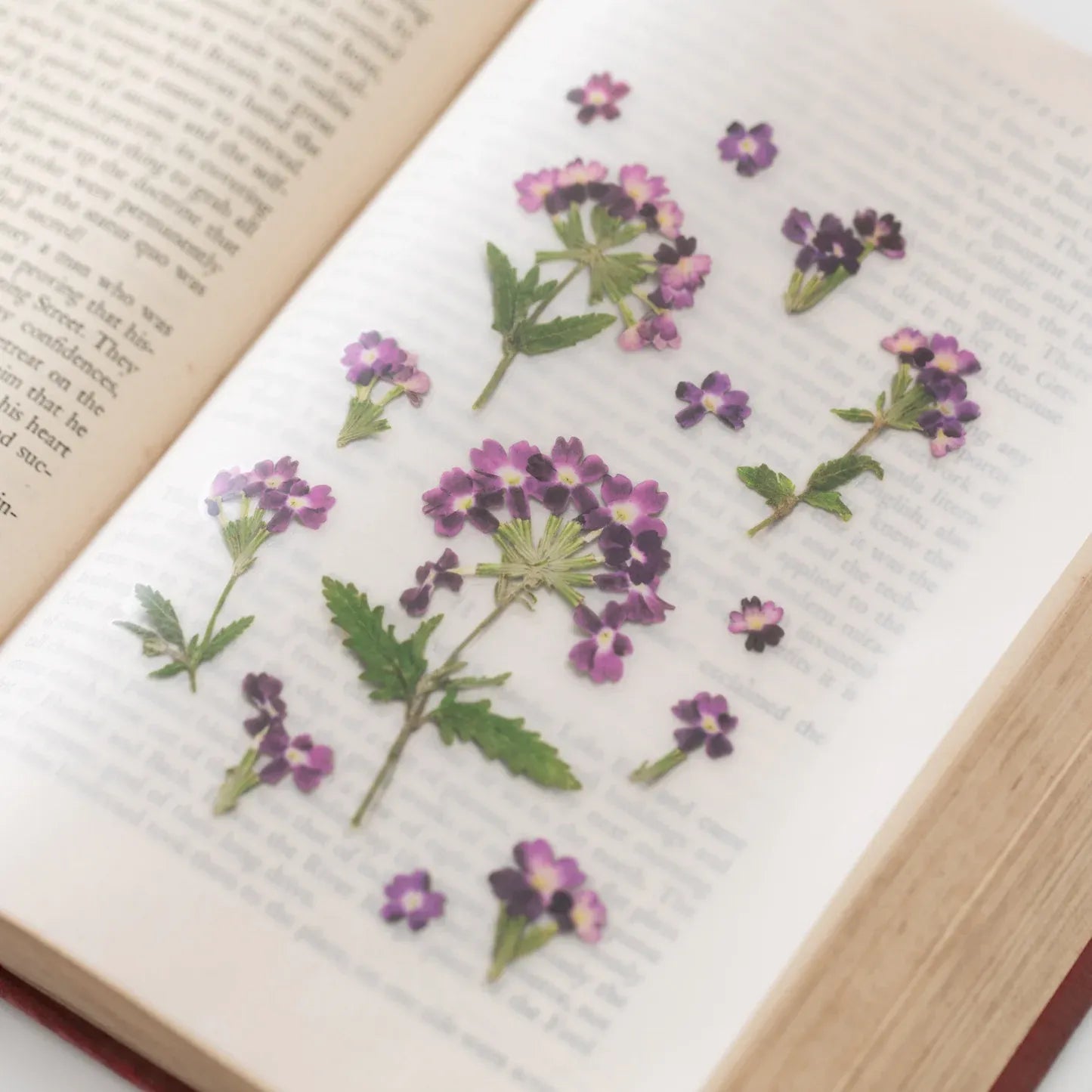 Verbena Pressed Flower Sticker Sheet