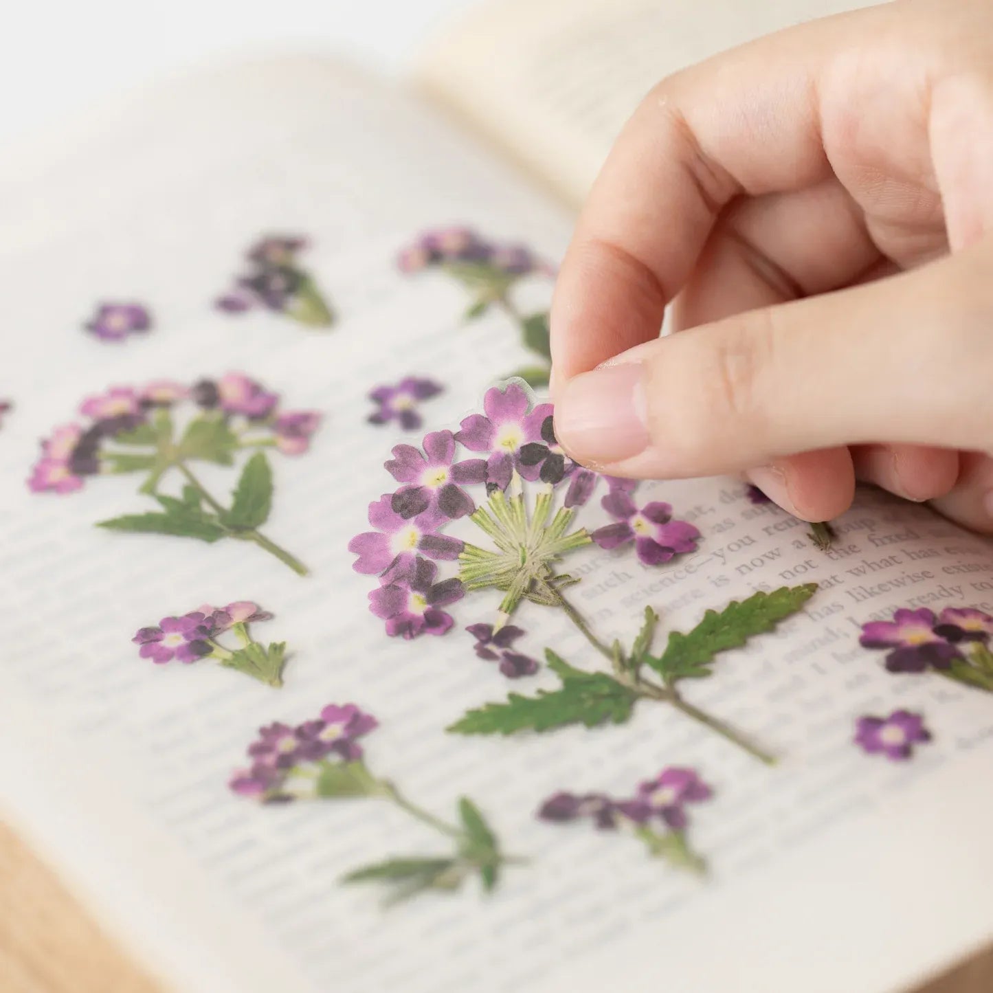 Verbena Pressed Flower Sticker Sheet