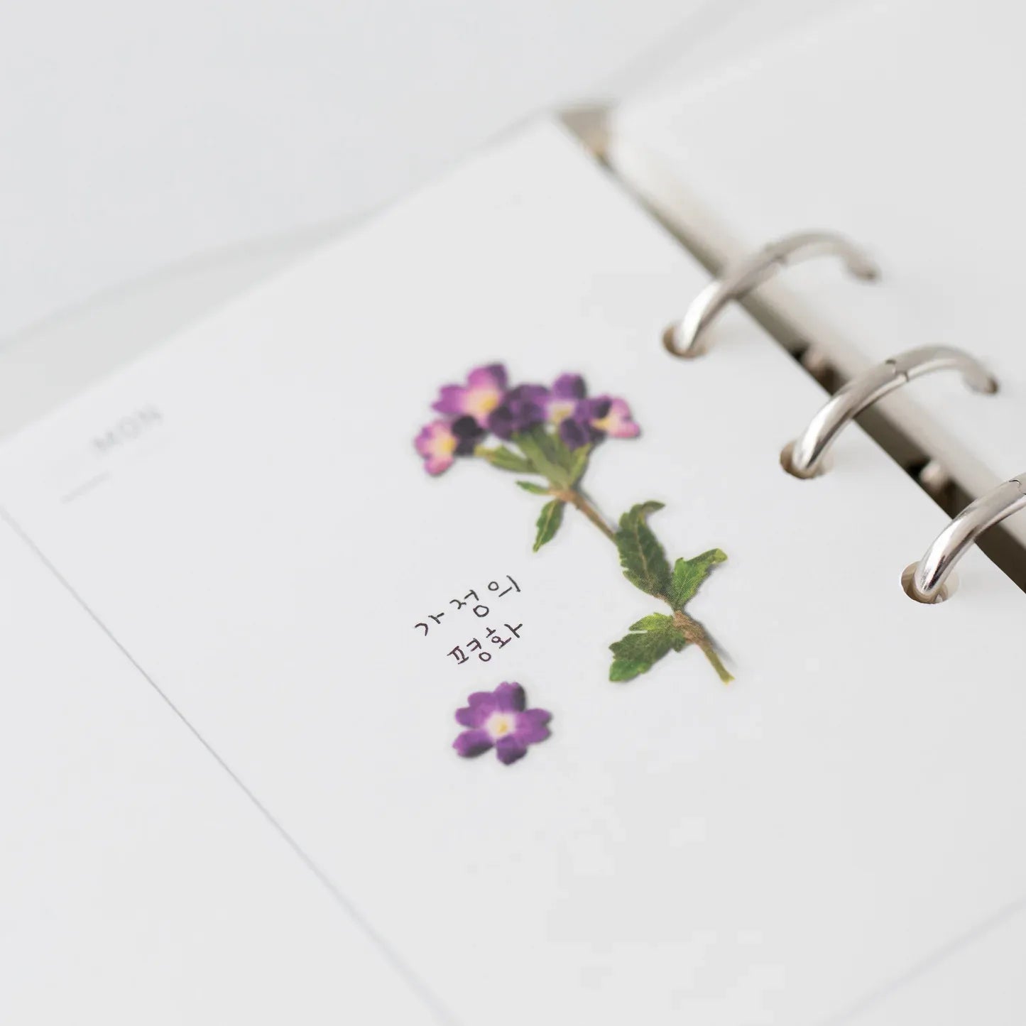 Verbena Pressed Flower Sticker Sheet