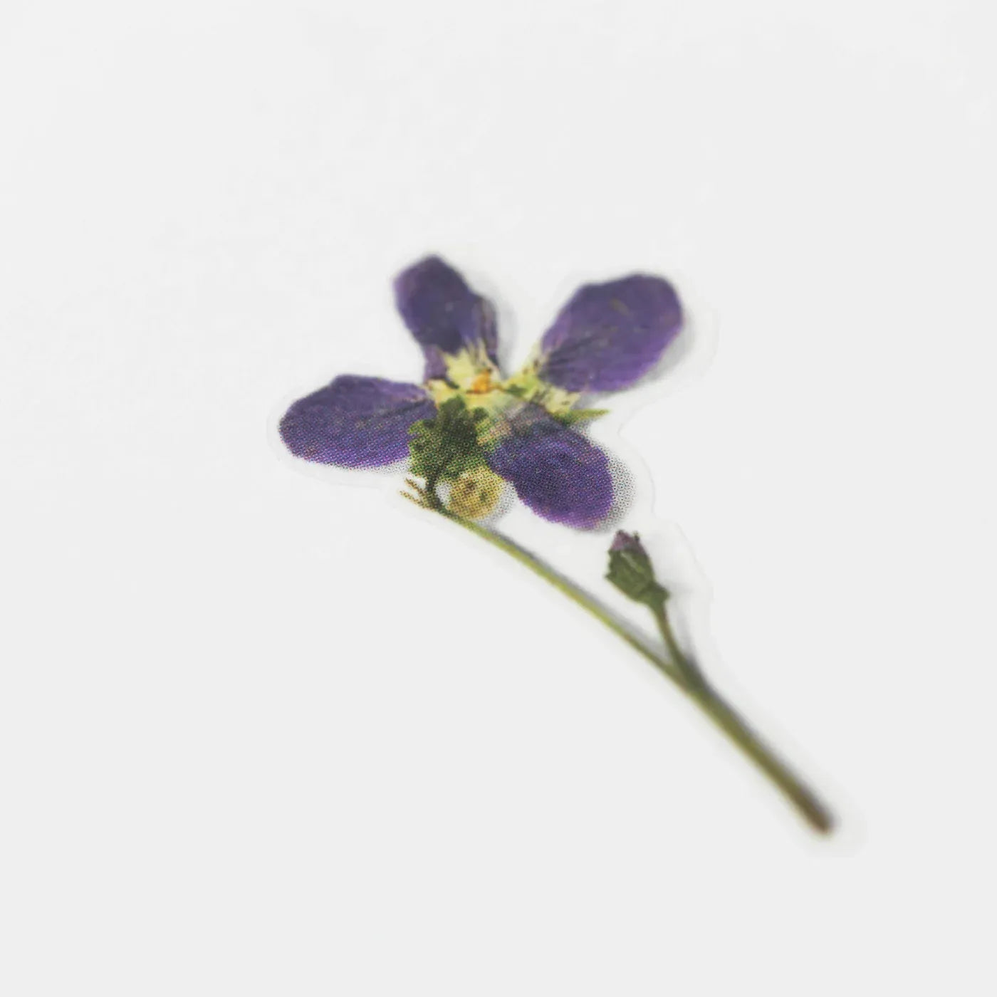Violet Manchurian Pressed Flower Sticker Sheet