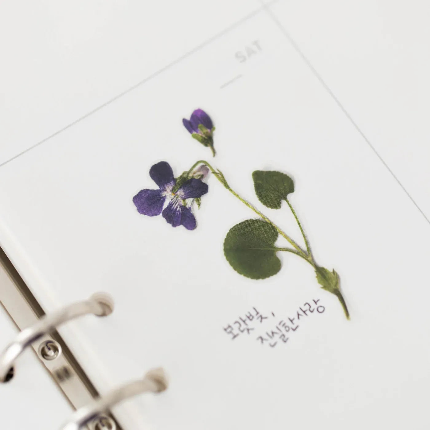 Violet Manchurian Pressed Flower Sticker Sheet