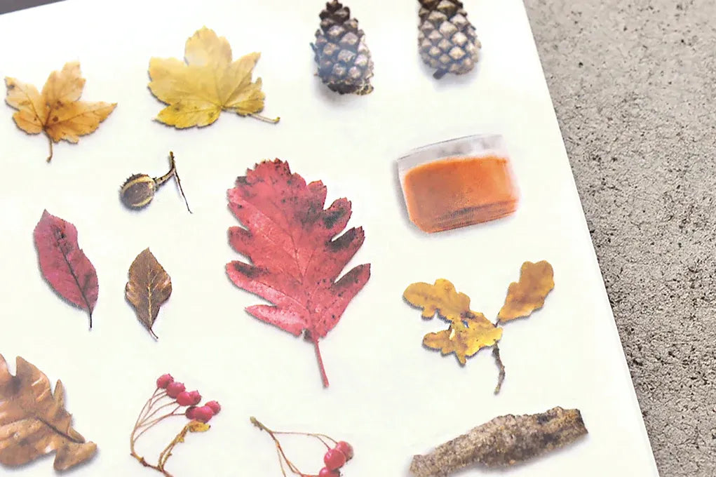 Autumn Collection Print-On Sticker Sheet (139)