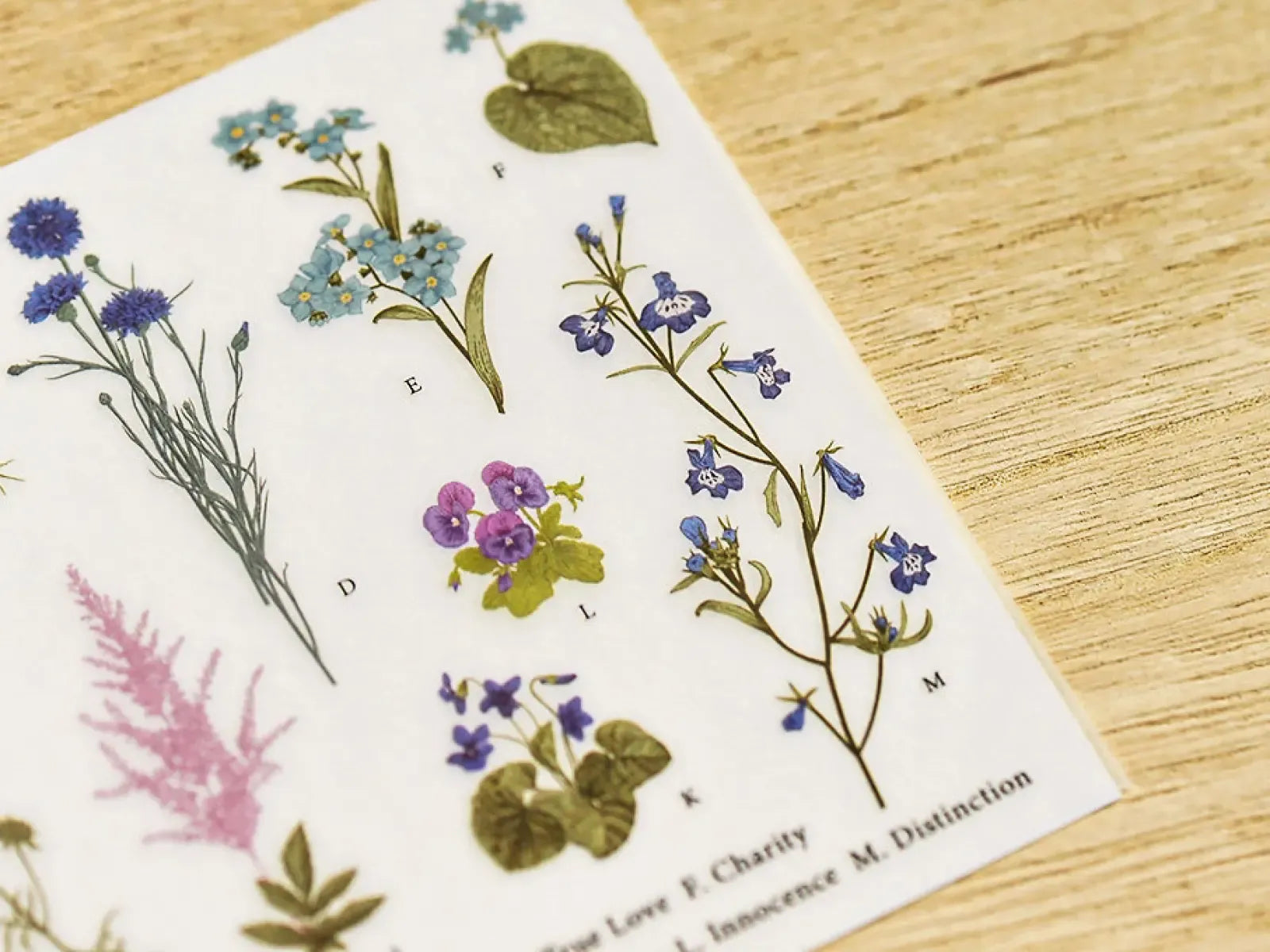 Flower Encyclopedia Print-On Sticker Sheet (127)