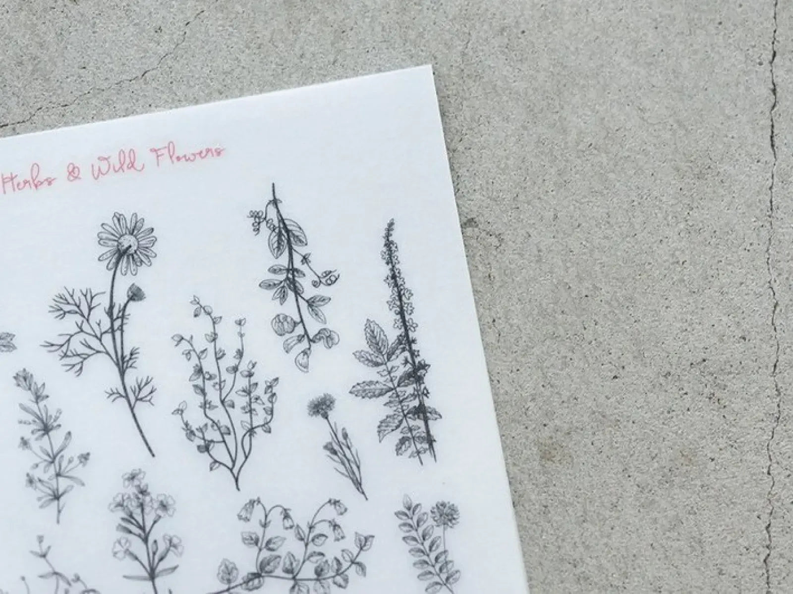 Herbs & Wild Flowers Print-On Sticker Sheet (55)