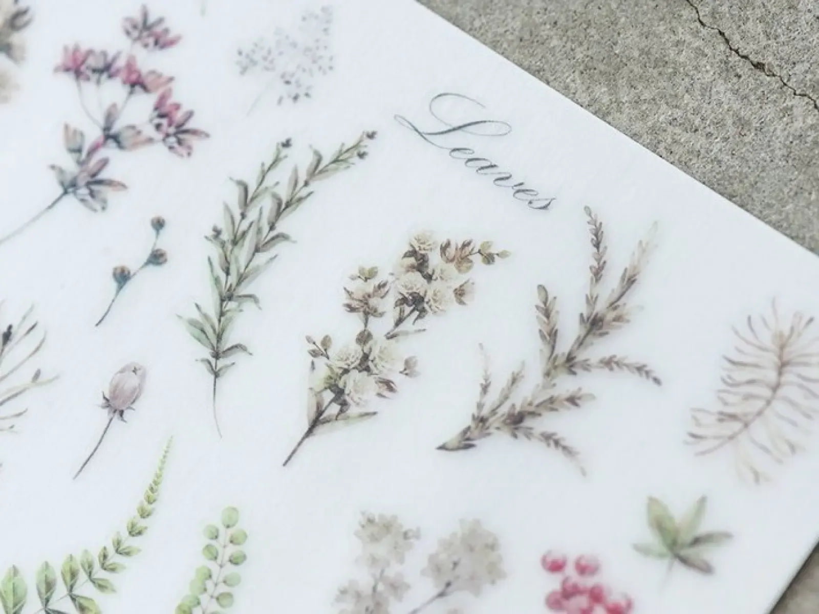 Herbs & Wild Flowers Print-On Sticker Sheet (55)