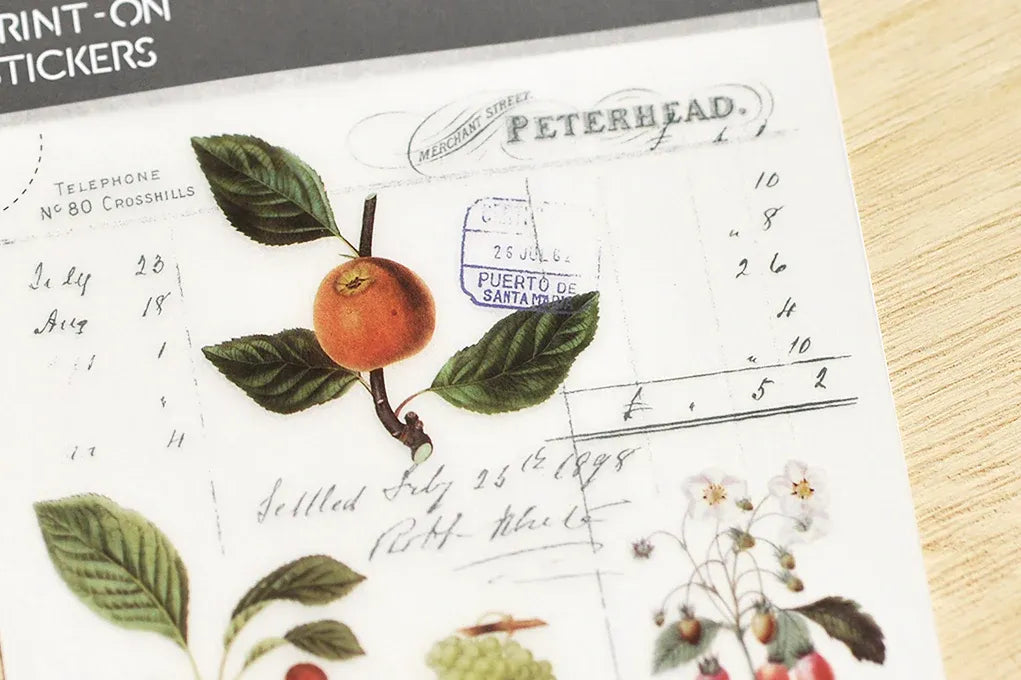 Vintage Fruit Illustrations Print-On Sticker Sheet (126)