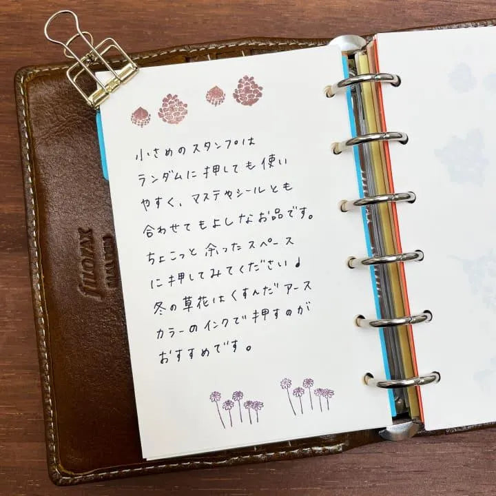 Winter Flower - Stamp Creator's Stamp Set